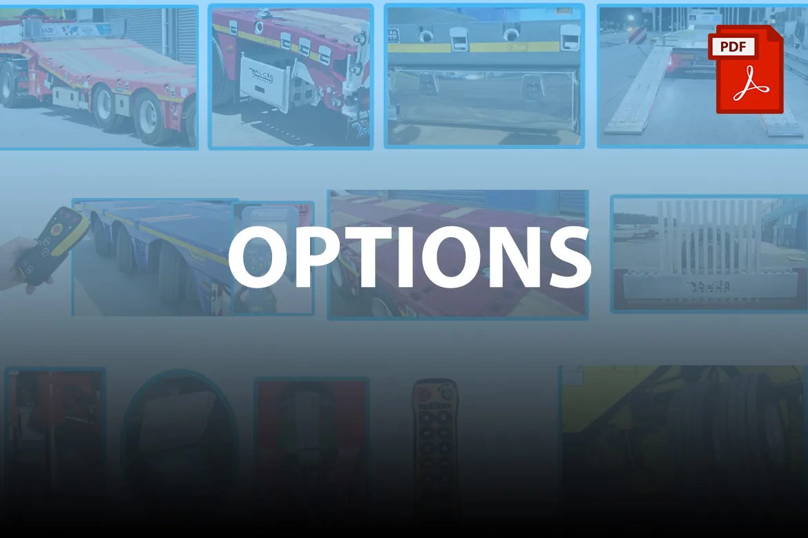 Options